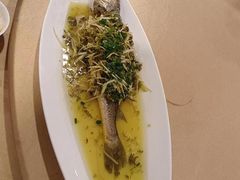 -新龙船黄浦江餐饮游船官方自营店