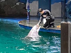 -苏州海洋馆