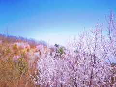 -北京西山国家森林公园