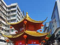 -越秀西湖花市(广州城市广场花卉店)