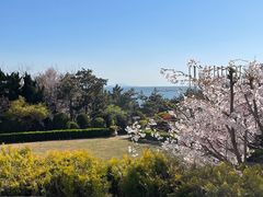 -青岛海景花园大酒店