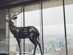 -北京柏悦酒店·锦庭餐厅Dining Room