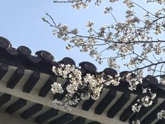 -浙江西子宾馆·牡丹厅