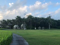 -海棠湾九号度假酒店-融荟家和中餐厅