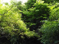 -野三坡清泉山风景区