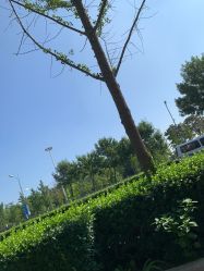 -HEYAN荷妍专业脱毛连锁机构