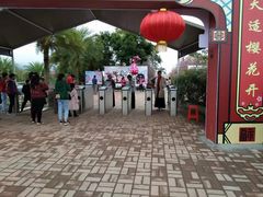-天适樱花悠乐园