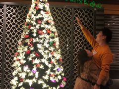 -京津新城温德姆至尊酒店(珠江大道店)