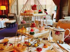 -东海朗廷酒店·廷廊 Palm Court