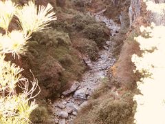 -苍山感通索道