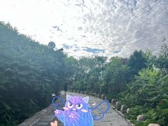 -南翠屏公园