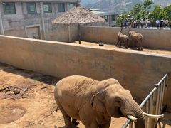 -西霞口神雕山野生动物世界