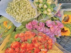 -循礼门鲜花花市(武汉循礼门店)