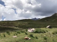 -扁都口生态休闲旅游区