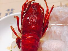-靓靓蒸虾·头牌蒸虾(南山桂庙店)