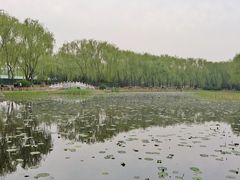 -东升八家郊野公园