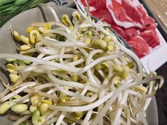 -小龙坎火锅(黄河店)