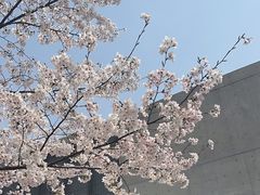-龙美术馆(西岸馆)
