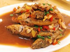 -桐庐窄溪野鱼馆