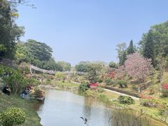 -东莞植物园