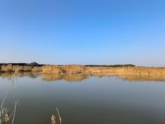 -同里国家湿地公园