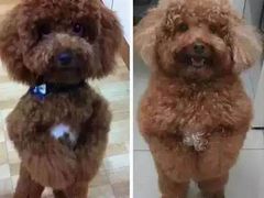 -中影国际影城(建军路金鹰购物中心店)