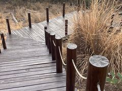 -海南棋子湾开元度假村·祺咖啡自助餐厅