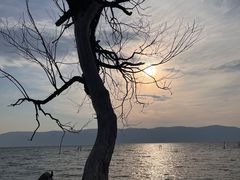 -大理洱海