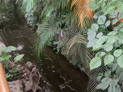 -竹山里(锁石路店)