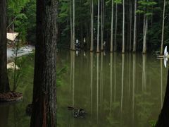 -波尔登森林公园