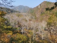 -玉渡山自然风景区