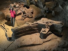 -自贡恐龙博物馆