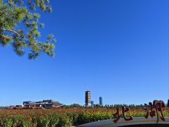 -长春北湖公园