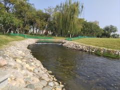 -咸阳湖景区-古渡公园