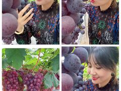 -金谷域澳洲庄园