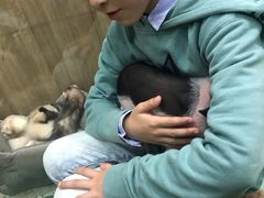 -藦茜花园宠物主题亲子互动体验馆(国顺东路店)