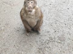 -成都动物园