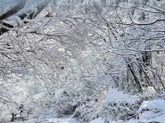 -浙西天池景区
