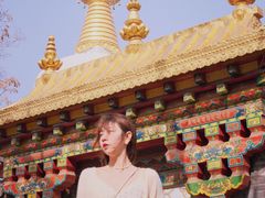 -护国法轮寺