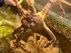 -海鲜e族(马王堆店)