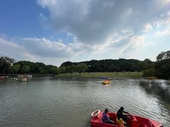 -上海方塔园