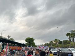 -宝安西湾红树林湿地公园