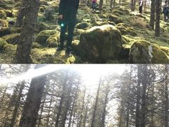 -硗碛藏寨·神木垒景区