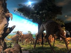 -国家自然博物馆