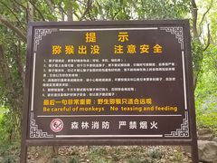 -苏州上方山国家森林公园