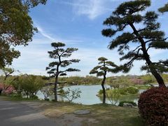 -魔鬼牛蛙小厨•烤鱼•龙虾(上马墩光华时代店)