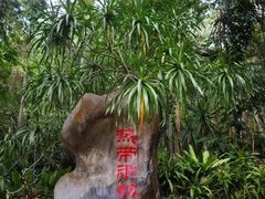 -中国科学院西双版纳热带植物园