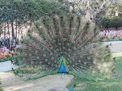 -J Create城市露营咖啡·简餐·宠物(上海动物园店)