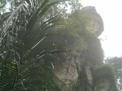 -七仙岭温泉国家森林公园