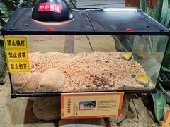 -松江科技馆
